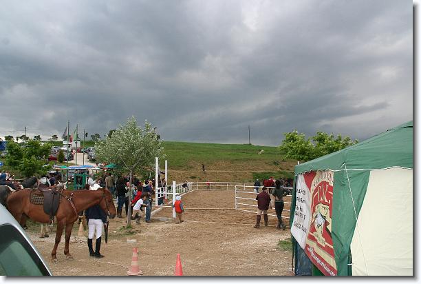 Foto successiva